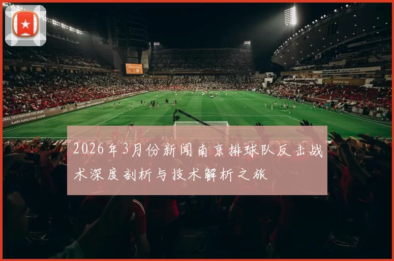 2026年3月份新闻南京排球队反击战术深度剖析与技术解析之旅